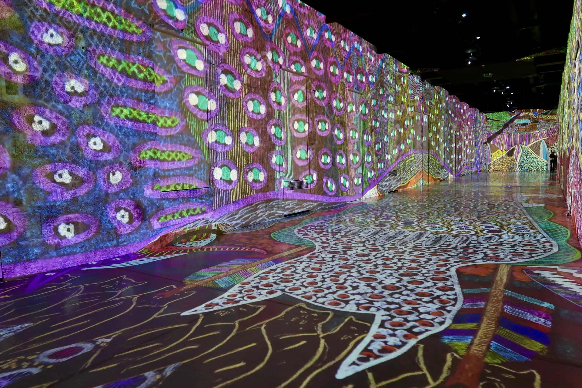 Jaider Esbell: installation