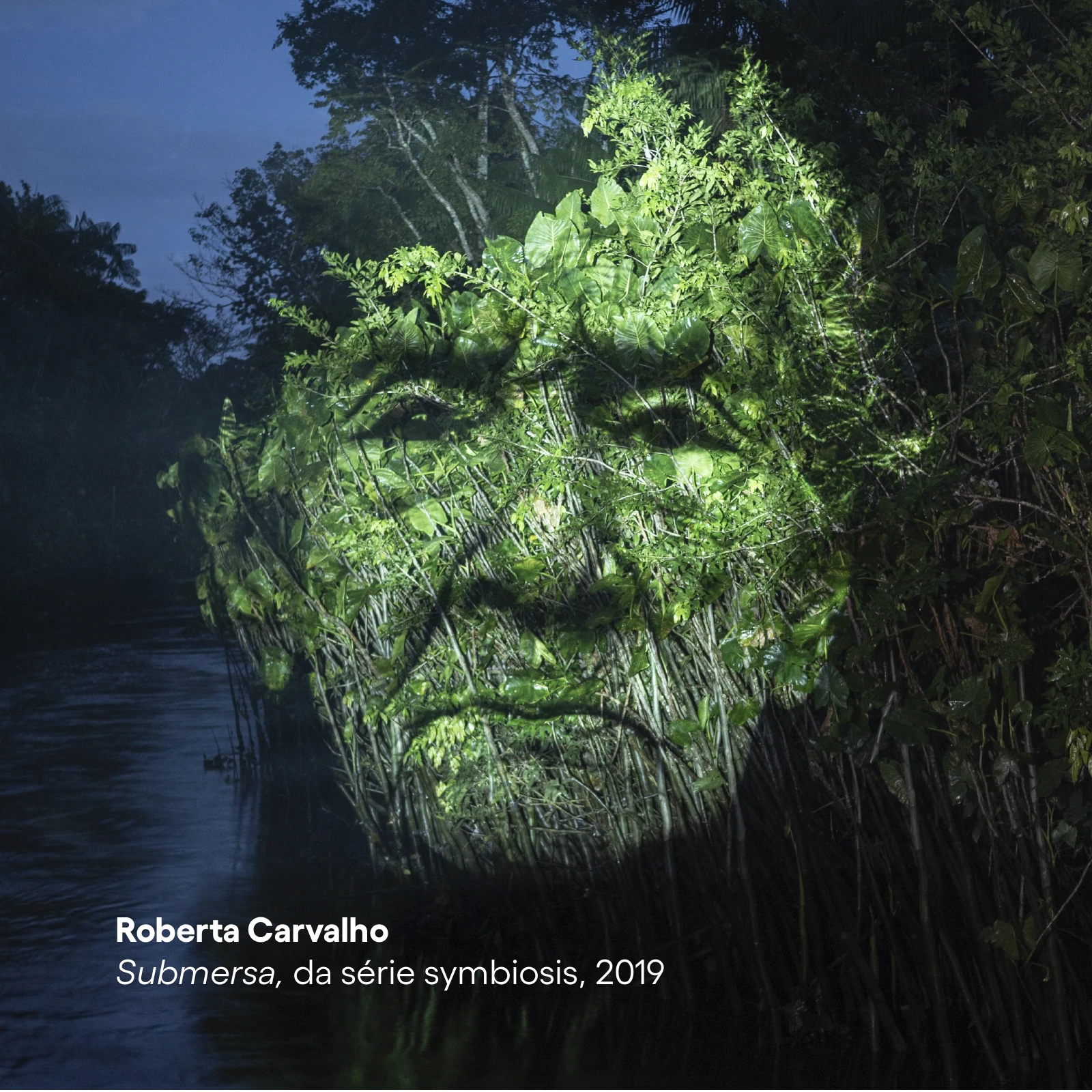 Roberta Carvalho: artwork